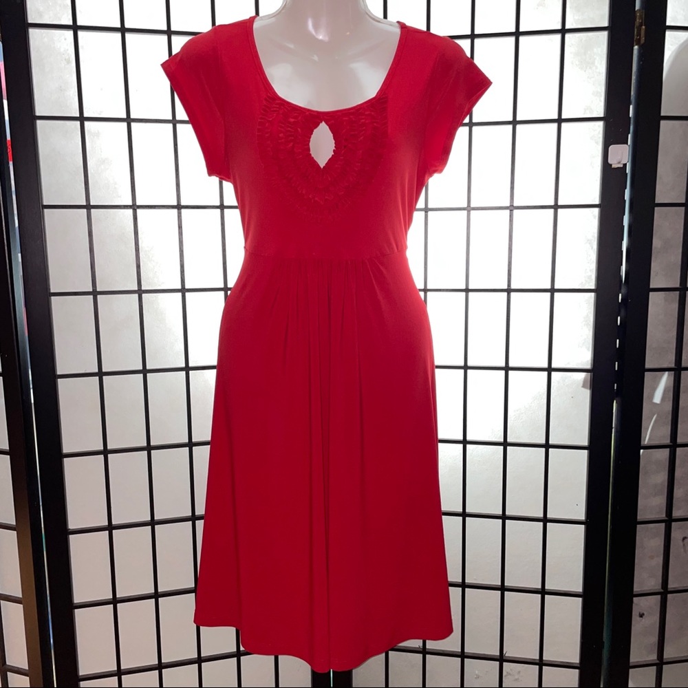 Nic & Dom ladies dress size medium